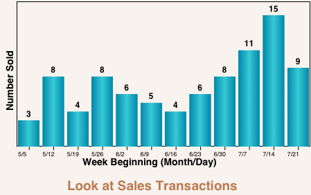 Sales Plot