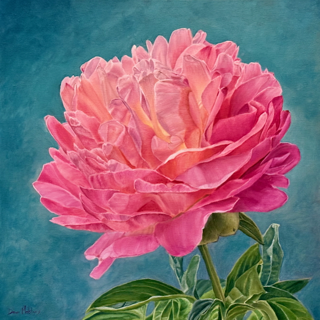 Pink peony on turquoise background