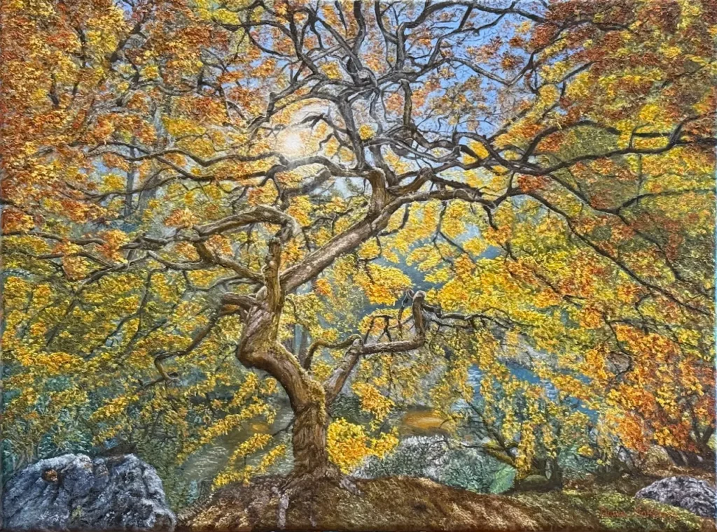 An oil painting of the view under a Japanese Lace Maple Tree.